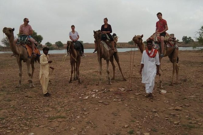 Over Night Camel Safari - Key Points