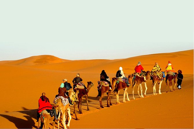 Overnight Camel Safari at Non-Touristic Route - Key Points