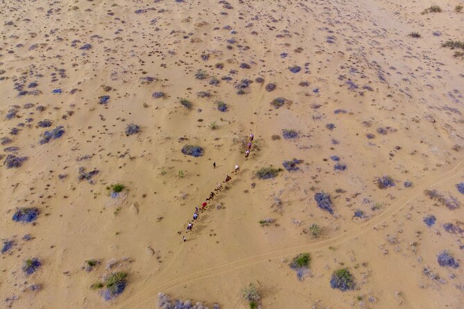 Overnight Camel Safari - Sleeping Under the Stars - Key Points