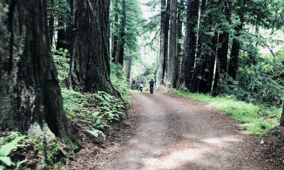 Pacific Grove: Old Coast Road E-Bike Tour - Key Points