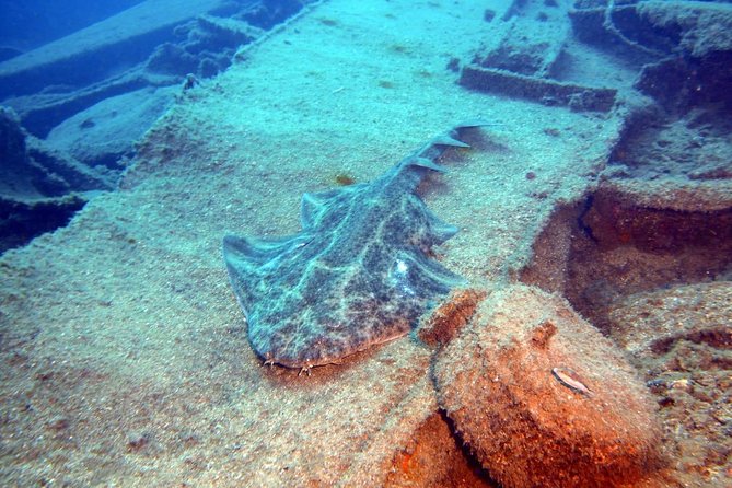 PADI Open Water Course in Gran Canaria - Exclusions