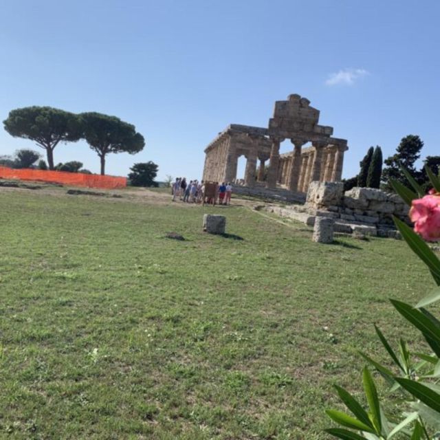 Paestum and Its Greek Temples Private Day Tour From Rome - Key Points