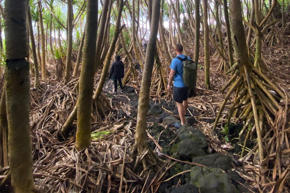 Pahoa: Short Private Hike To Secret Jungle Tide Pool - Key Points