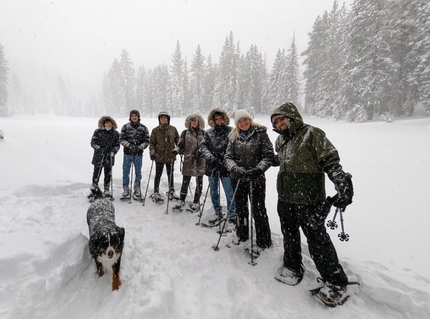 Palisades Point Half-Day Snowshoeing Hike - Key Points