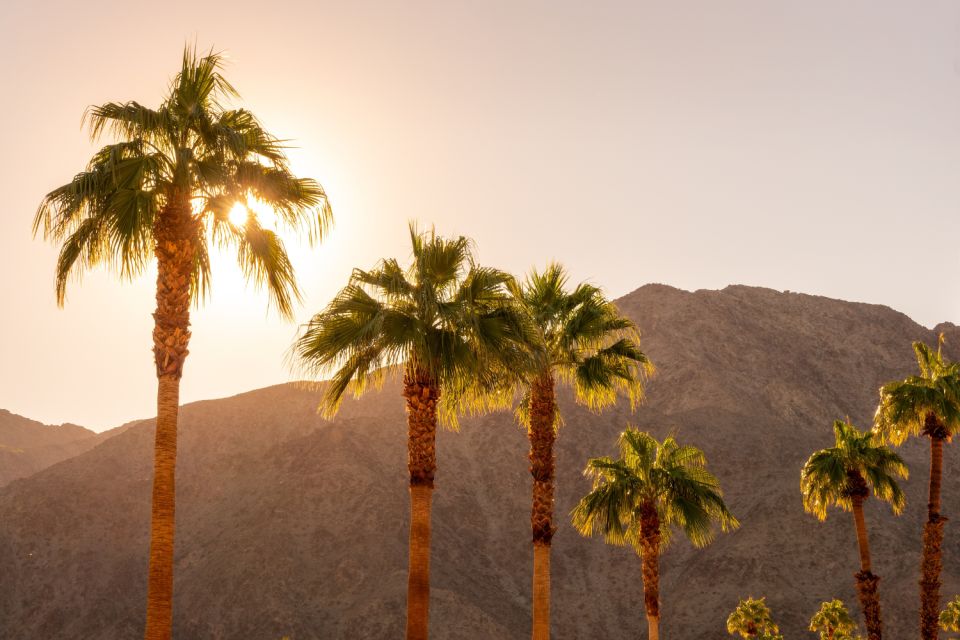 Palm Springs: City and Desert App-Guided Driving Tour - Key Points