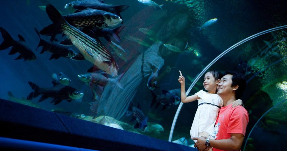 Pattaya: Underwater World Pattaya Aquarium Admission Ticket - Key Points