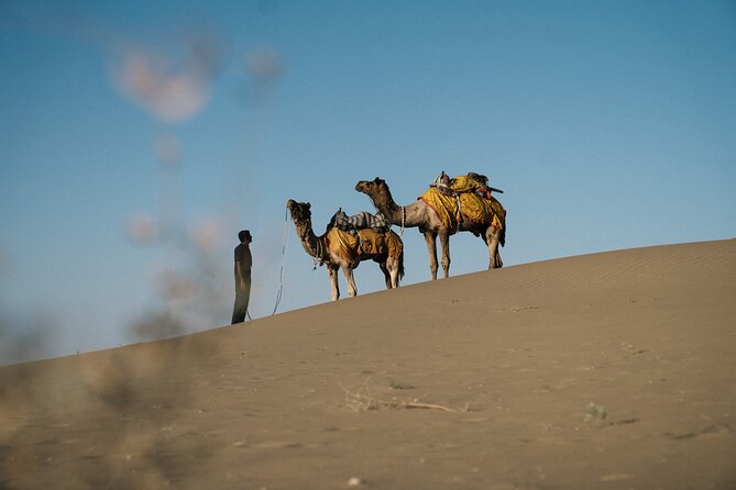 Peaceful Non -Touristic Sunset Camel Safari With Dinner - Key Points