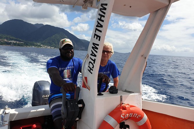 PH Whale Watch & Dolphin Cruise in Dominica - Overview of Whale Watching Excursion
