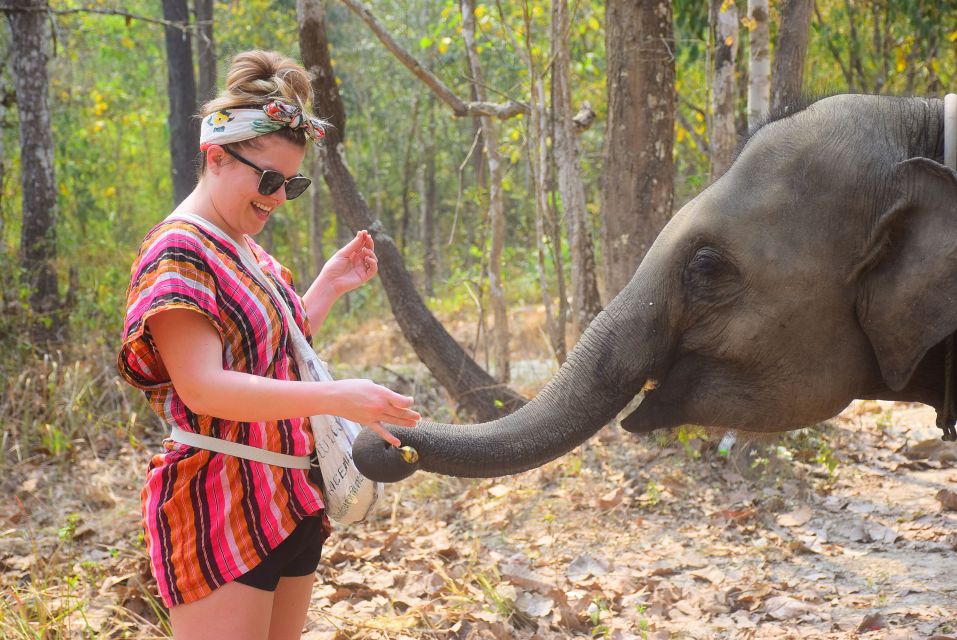 Phuket: Elephant Save & Care Program Tour - Key Points