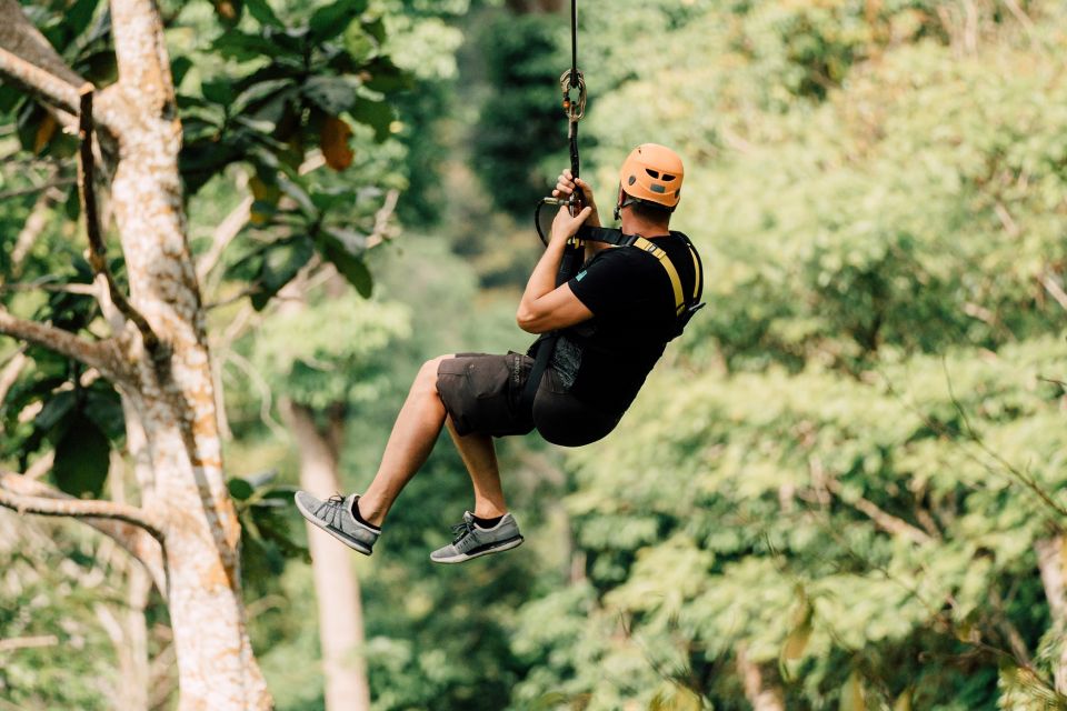 Phuket: Paradise Jungle Zipline Adventure - Key Points