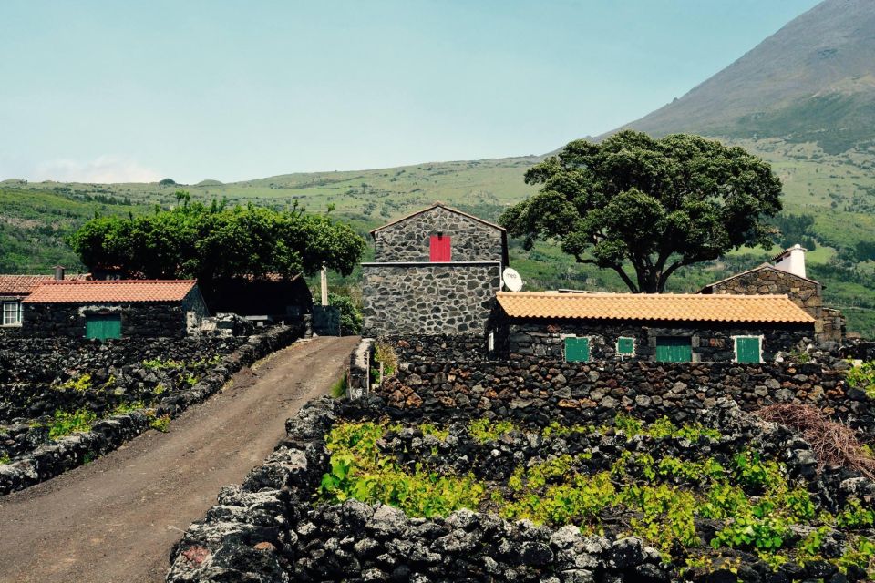 Pico, Azores: Highlights Tour With Wine Tasting and Picnic - Key Points