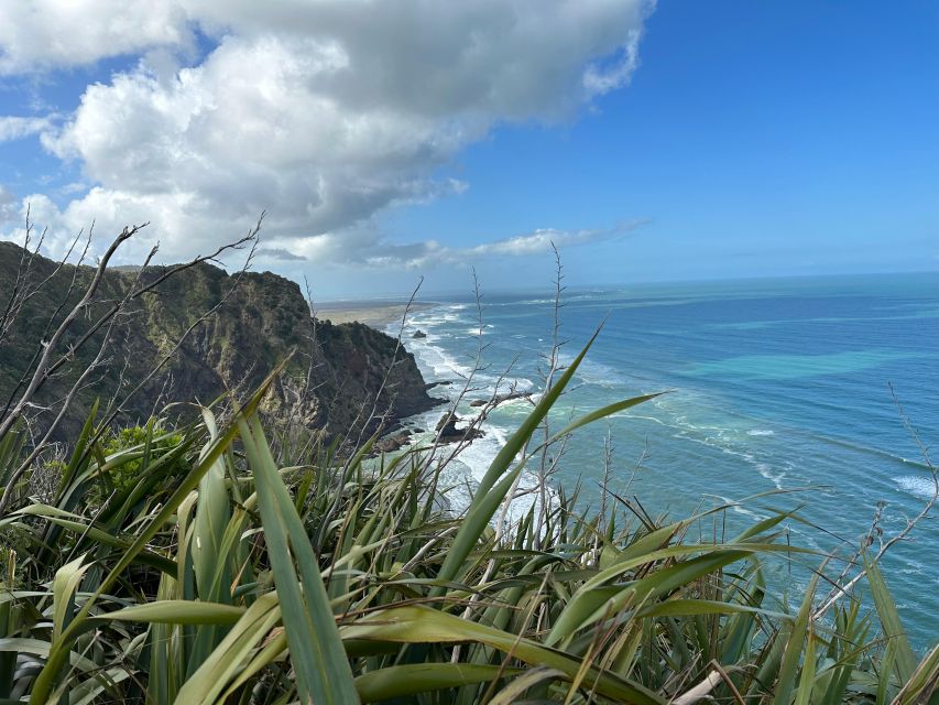 Piha & Karekare - Out of Auckland Private Tour - Key Points