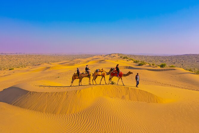 Pleasant Non-Touristic Overnight Camel Safari (From 2:00 PM to Approx. 10:30AM) - Key Points