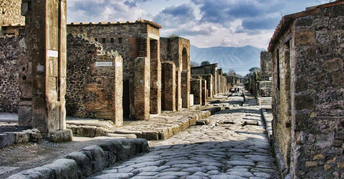 Pompeii and Herculaneum: Private Tour From Naples - Key Points