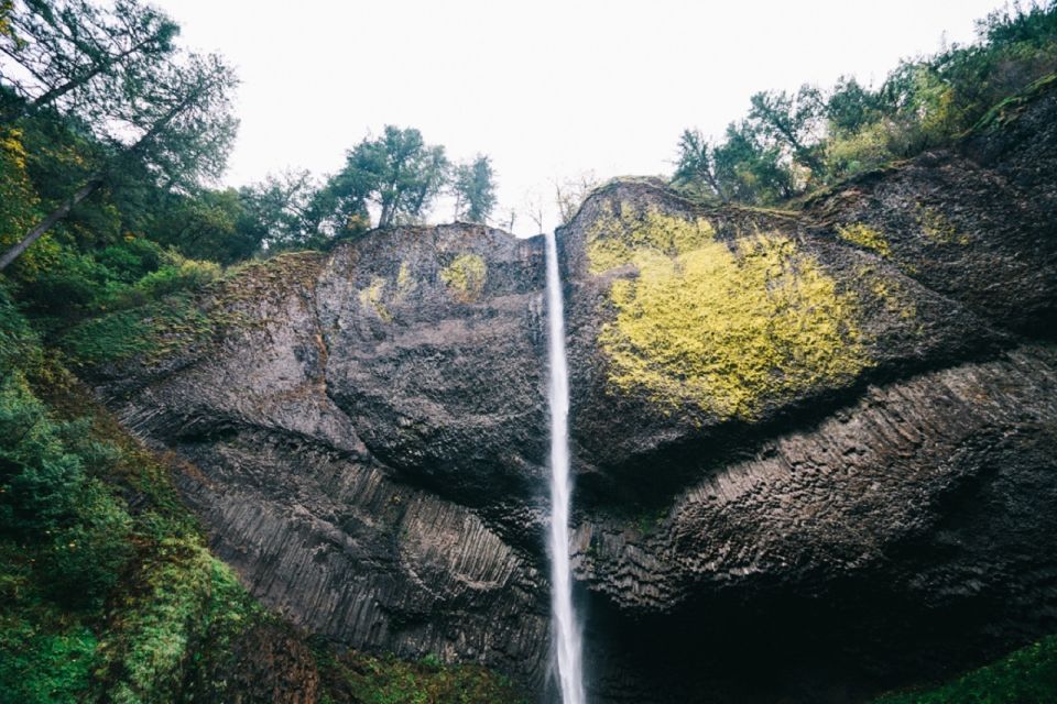 Portland: Columbia River Gorge Waterfalls Afternoon Tour - Key Points