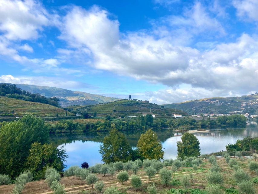 Porto: Douro Valley Wine Tour With Tastings, Boat, and Lunch - Key Points