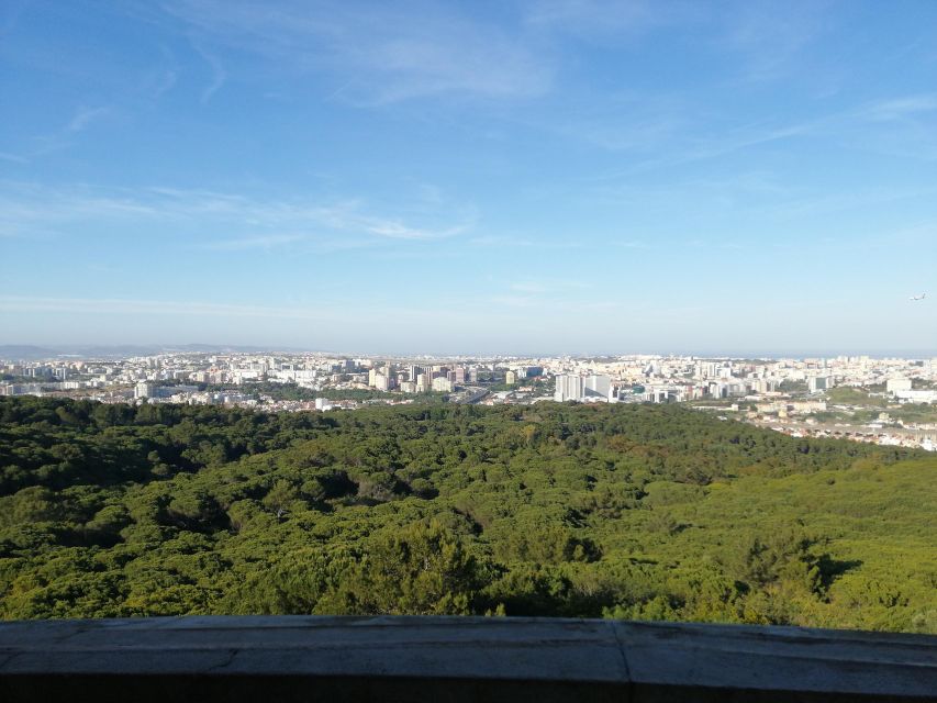 Porto / Lisbon Transfer With Aveiro, Nazaré & Óbidos - Key Points