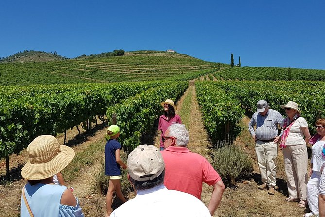 Private Douro Valley Wine Tour: 2 Wine Estates, Lunch and Cruise - Key Points