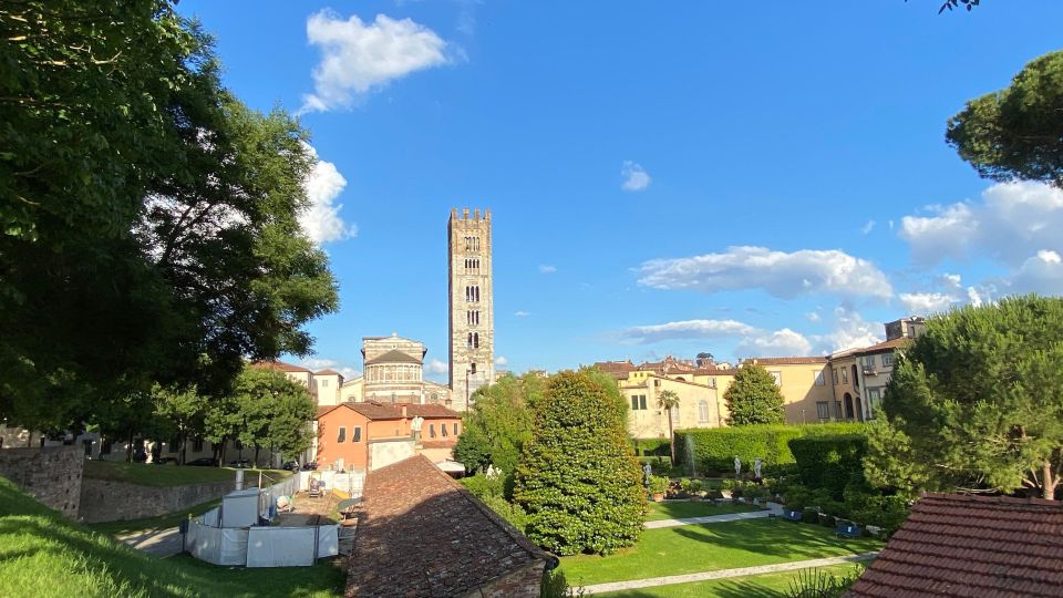 Private Lucca Wine Tour: 2 Winery With Lunch - Key Points