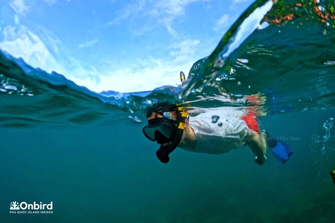 Private- Short Snorkeling at Coral Mountain & North-East Coral Reef by Speedboat - Overview of the Snorkeling Experience