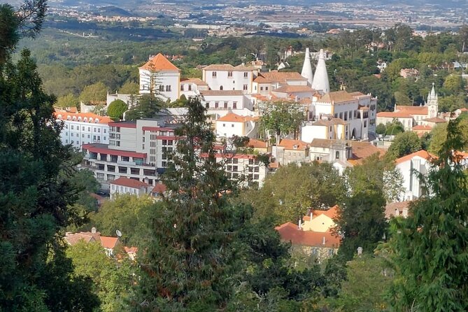 Private Tour Sintra, Palaces and Mountain Tuk Tuk(2 to 6 People) - Overview of the Private Tour