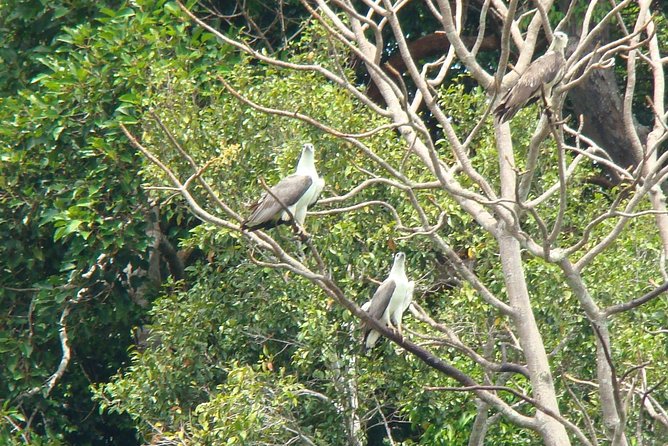 Private Tour: Southern Island Geopark Tour From Langkawi - Inclusions