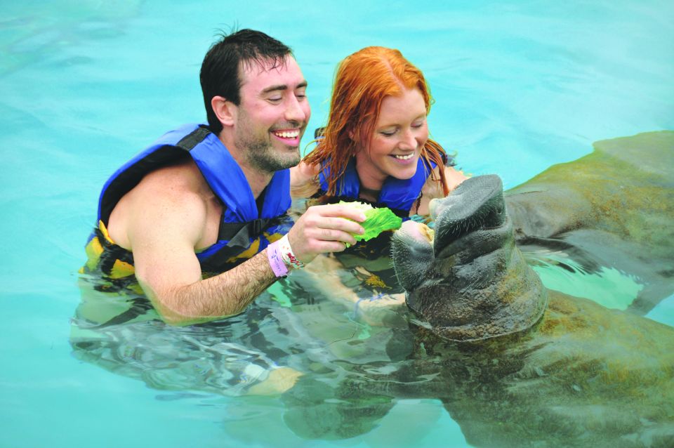 Puerto Aventuras: Dolphin Swim, Manatee Meet, and Lunch - Package Details