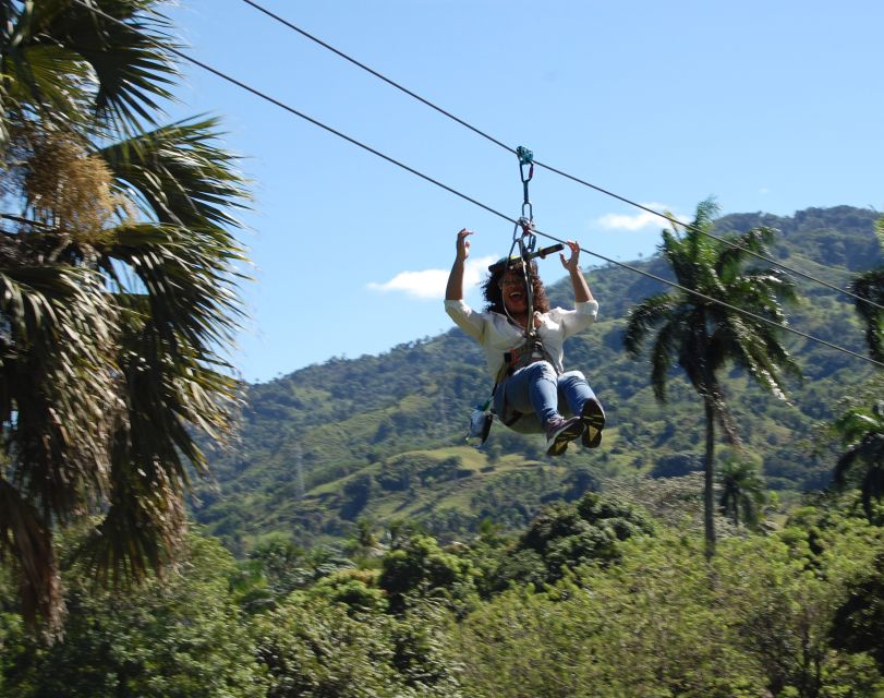 Puerto Plata: Monkeyland and Zip-Line Adventure - Key Points