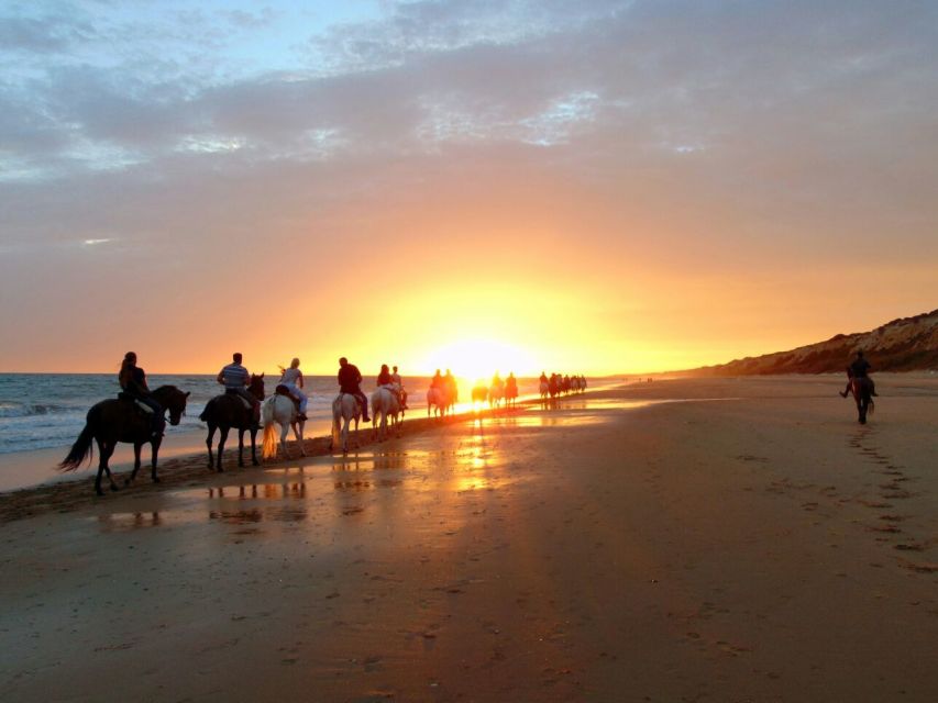 Puerto Plata: Sunset Beach Horseback Riding Tour - Tour Overview