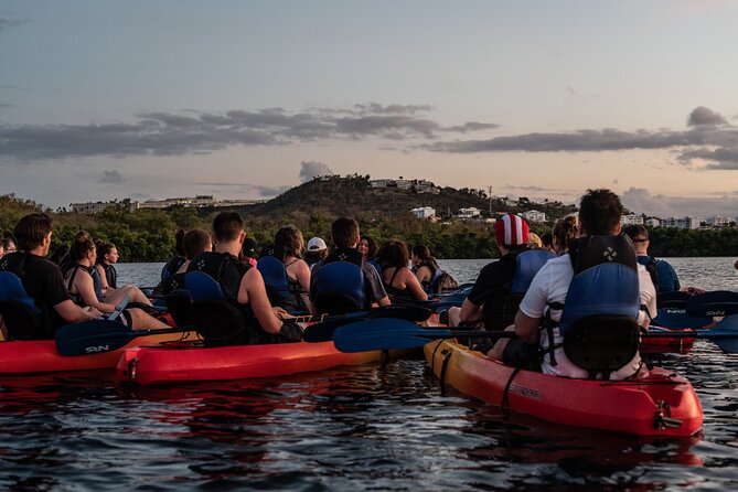 Puerto Rico Sunset Magic: Bio Bay Kayaking Tour From Fajardo - Tour Overview and Highlights