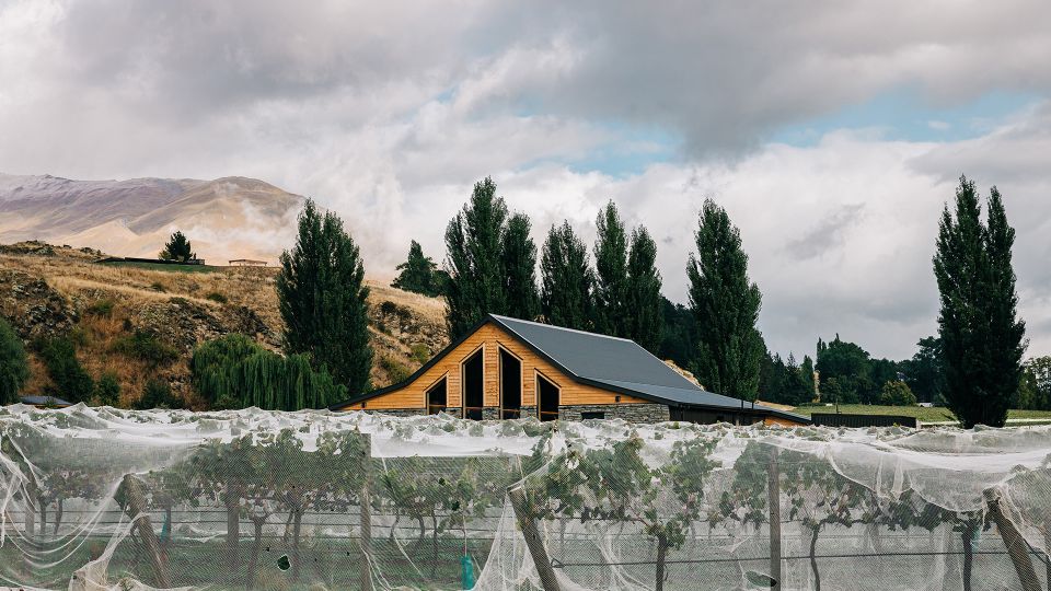 Queenstown: Pinot Noir Wine Tasting Experience - Key Points