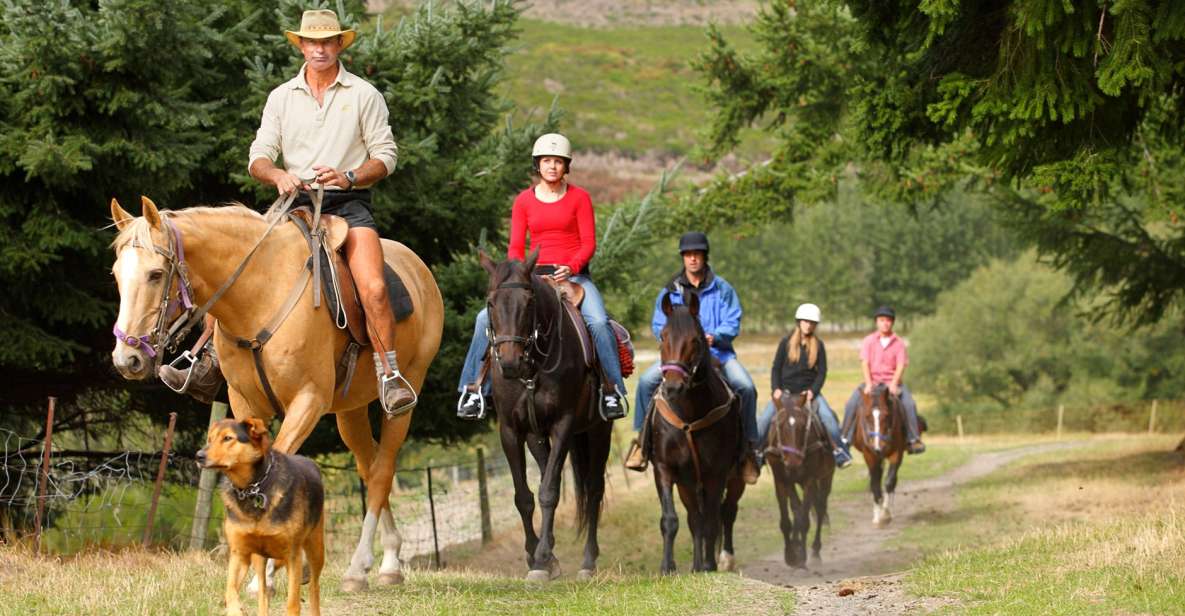 Queenstown: Walter Peak Horse Trek & TSS Earnslaw Cruise - Key Points