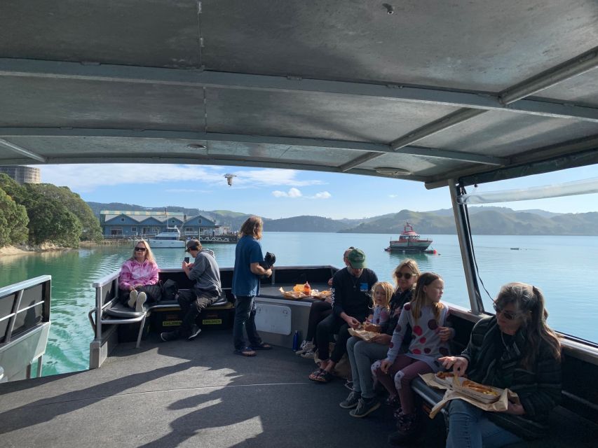 Raglan: Lunchtime Cruise of Raglan Harbour - Key Points