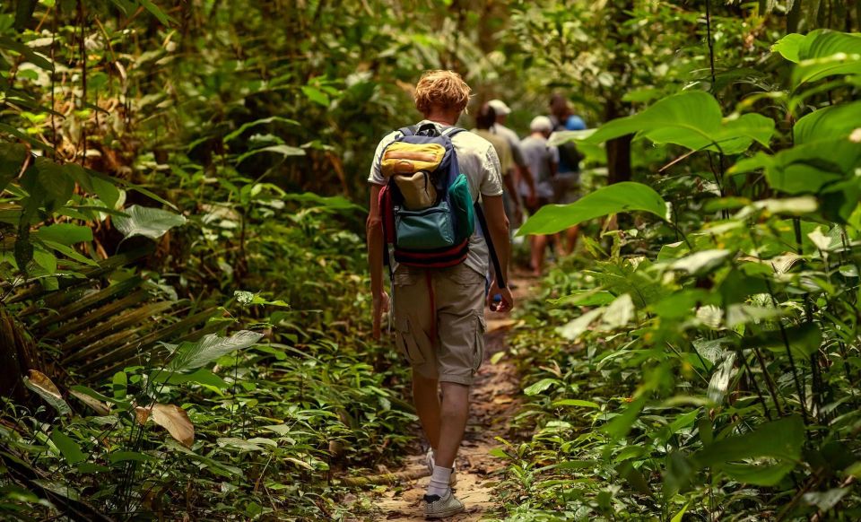 Rainforest Hike and Beach - Key Points