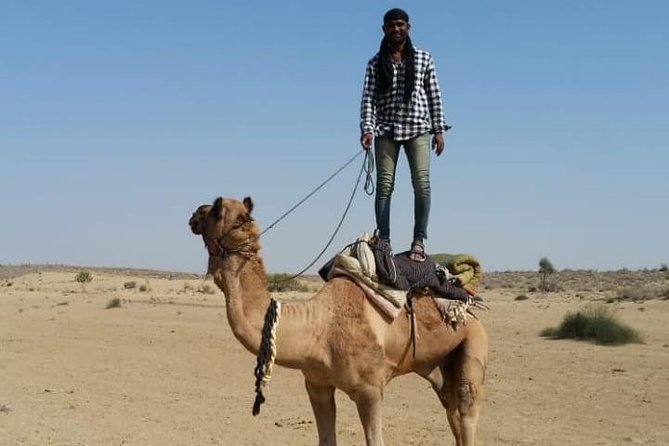 Rajs Unexplored Private Camel Safaris Under the Stars - Key Points