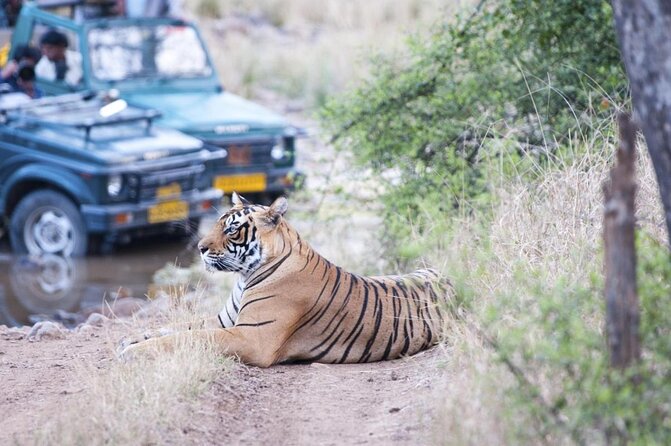 Ranthambore National Park - Key Points