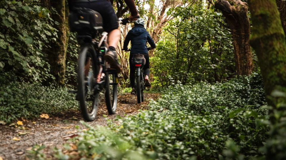 Remutaka Rail Trail Ebike Shore Excursion for Cruise Ships - Key Points