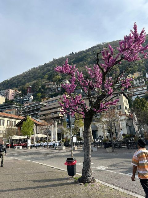 Rent a Scooter in Como and Enjoy Like a Local! - Key Points