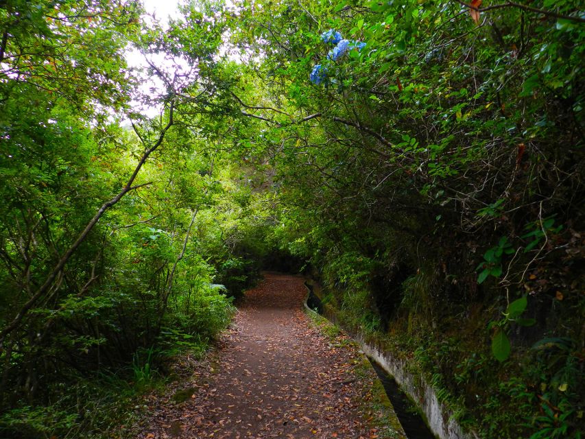 Ribeiro Frio / Portela - Levada Walk - Key Points