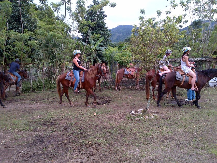 Ride N Zip Adventure in Puerto Plata - Key Points