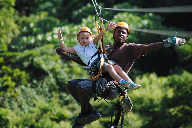 Roatan Shore Excursion: Zip N Dip Canopy Tour - Key Points