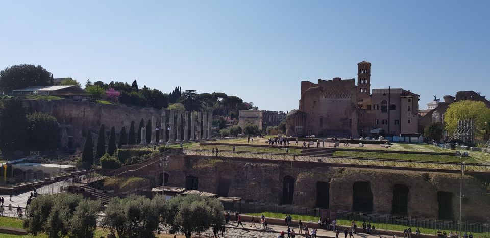 Rome: Fast-Track Private Colosseum Arena & Palatine Hill - Key Points