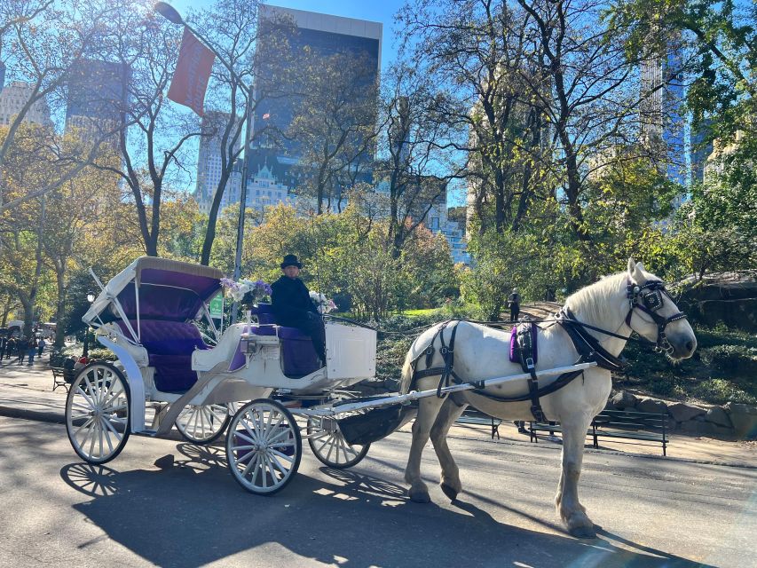Royal Carriage Ride in Central Park NYC - Key Points