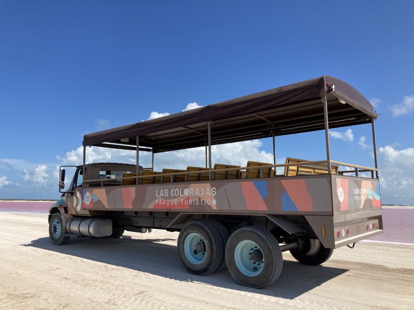 Safari Tour Around the Pink Lakes of Las Coloradas - Key Points