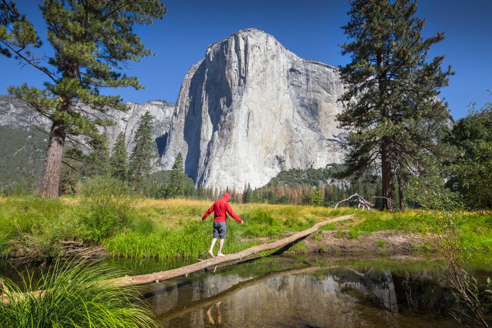 San Francisco To/From Yosemite National Park: 1-Way Transfer - Key Points