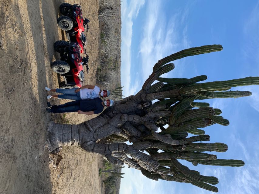 San Jose Del Cabo: 2-Hour ATV Tour - Tour Overview