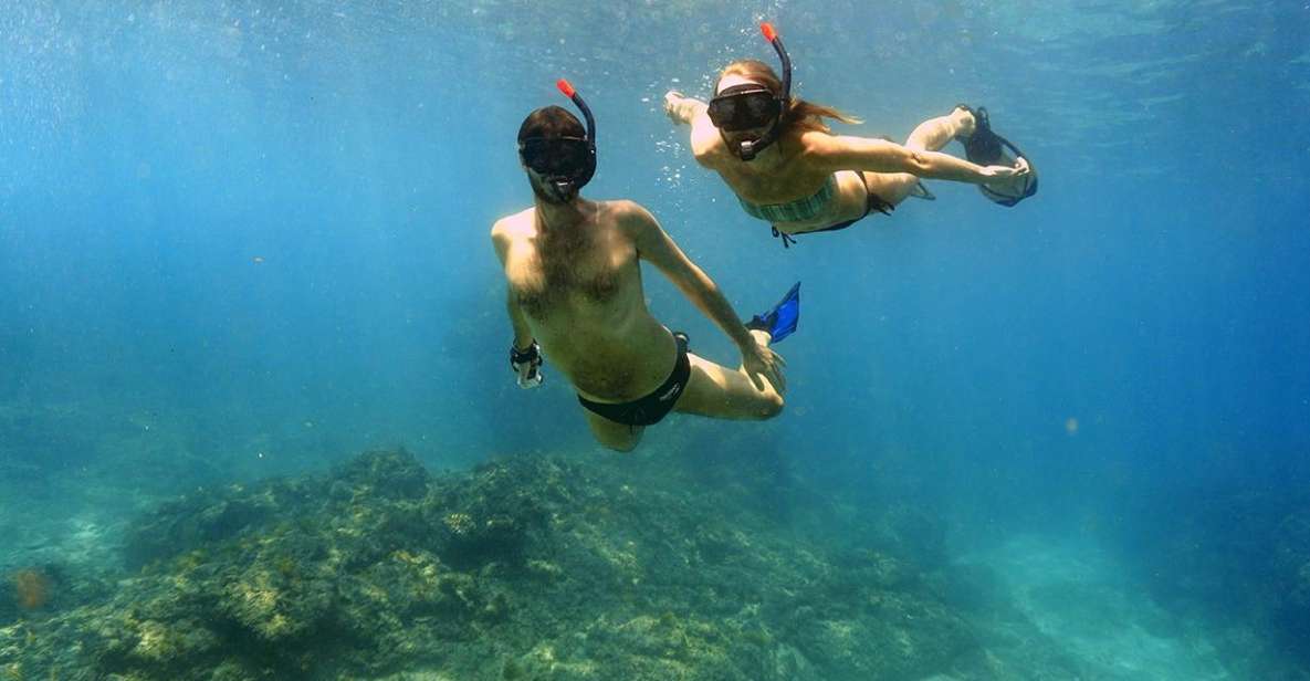 San Jose Del Cabo Private Snorkeling Tour - Key Points