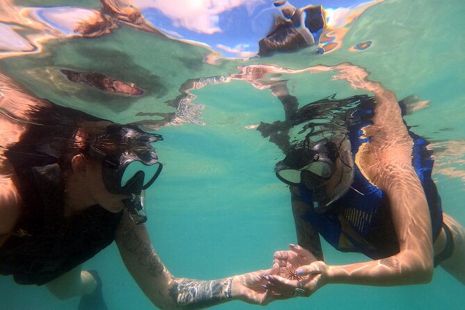 San Juan Guided Snorkel Tour With Videos - Meeting and Check-in Details