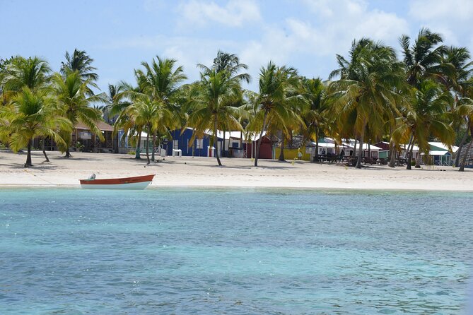 Saona Island for Carnival Cruise Passengers From La Romana Port - Inclusions of the Tour