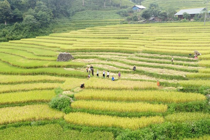 Sapa 3 Days 2 Nights From Hanoi Trekking With Local People - Key Points